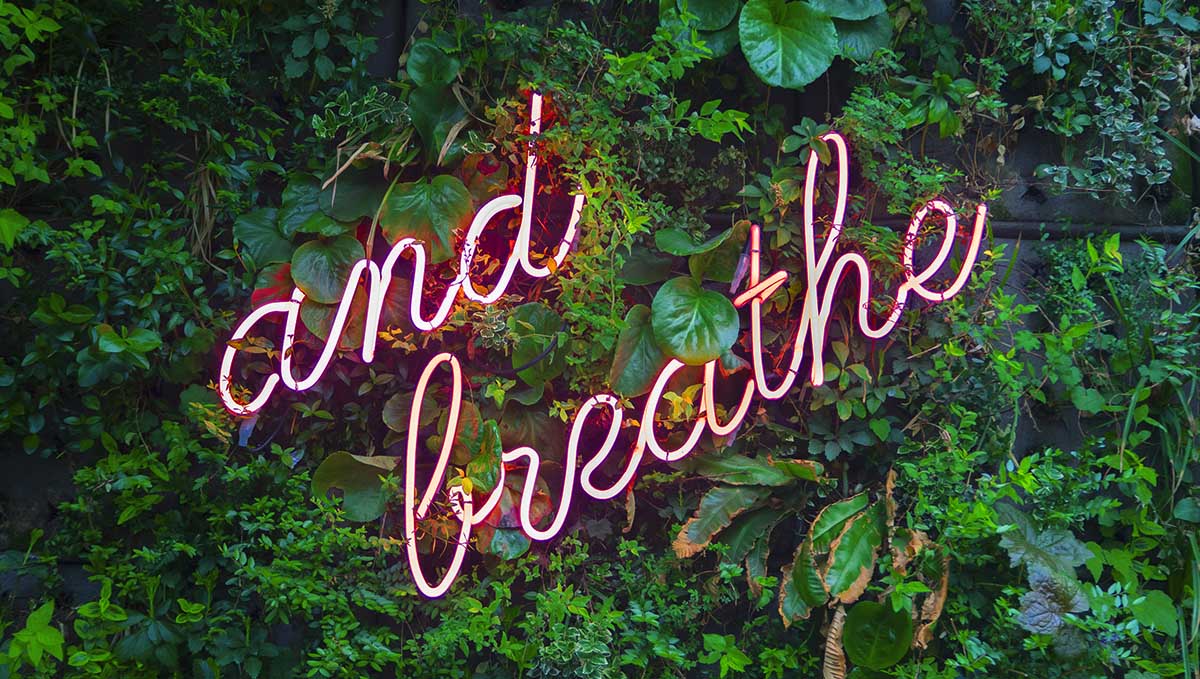 Truth or Myth: Does Coughing Get You Higher? Pay your lungs some respect and breathe.