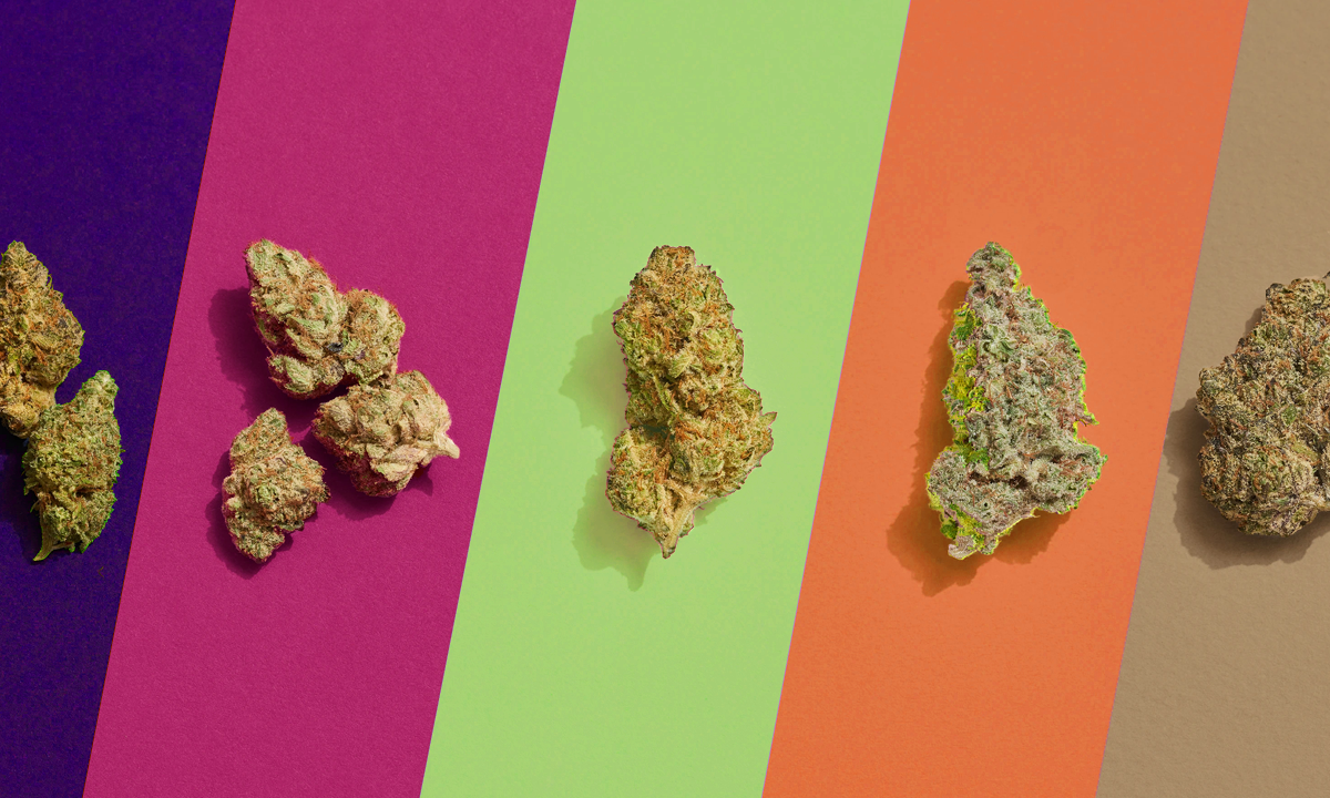 Cannabis' flavor differs when vaping or smoking Cannabis' flavor differs when vaping or smoking