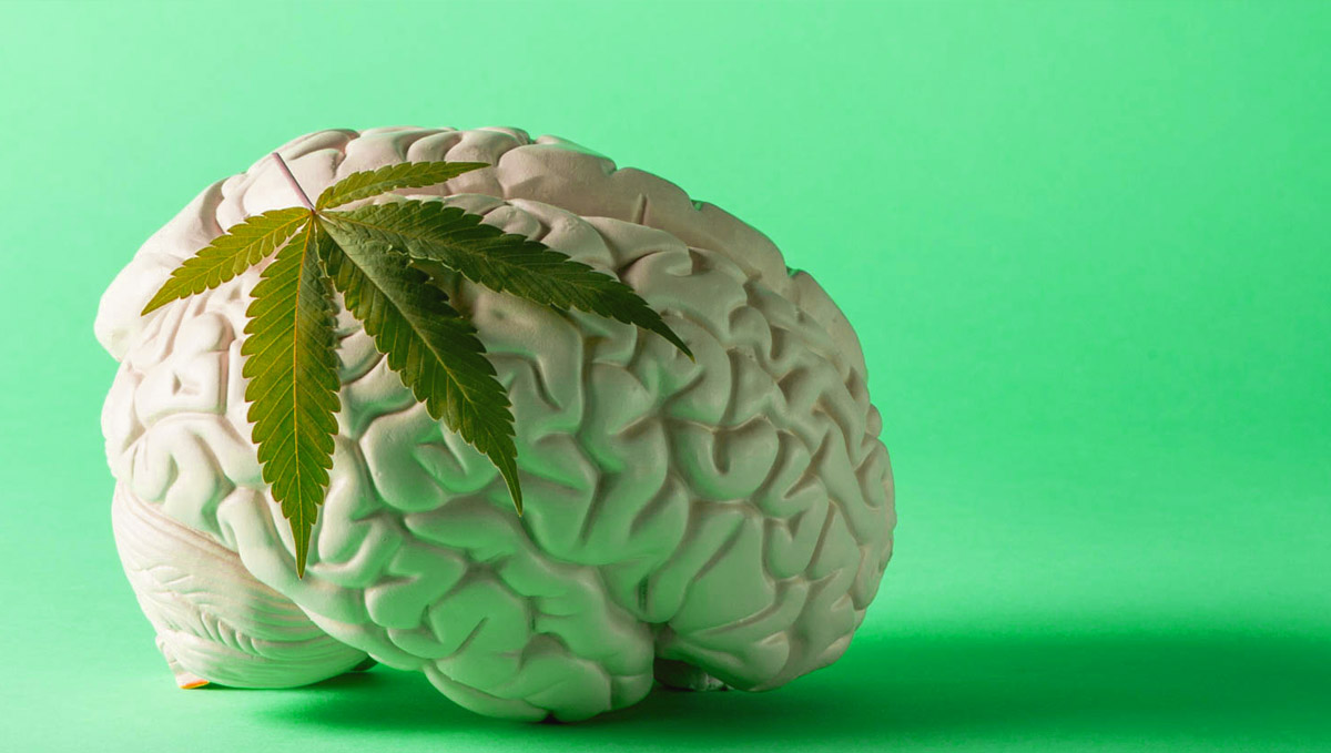 Plants Related Stomach Disorder On The Rise: Let's see why would plants cause CHS.