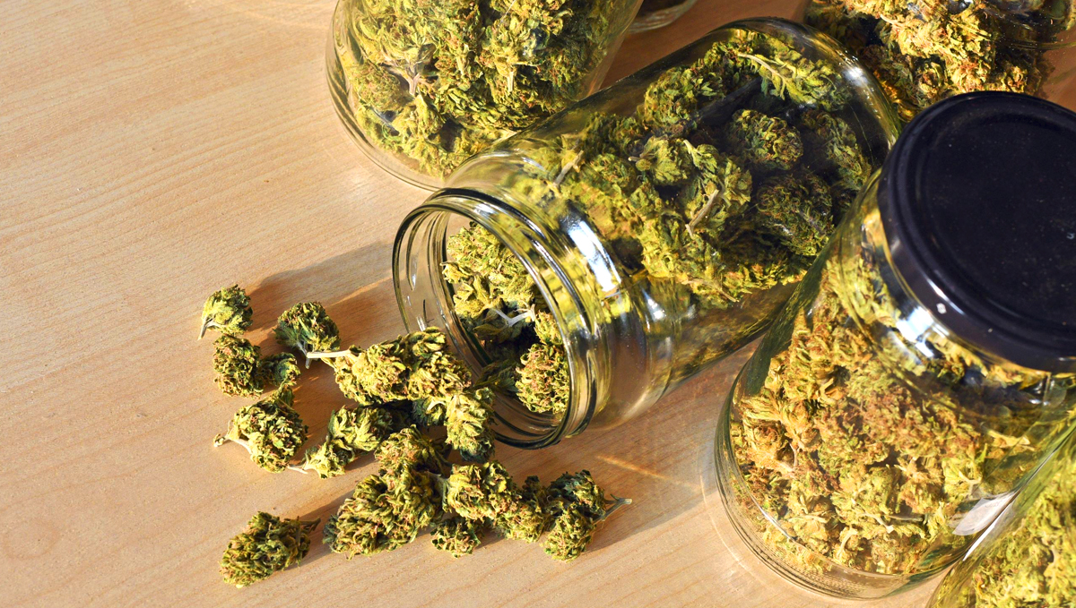 Medium-quality buds already come in beautiful shades of green and nice perfume.