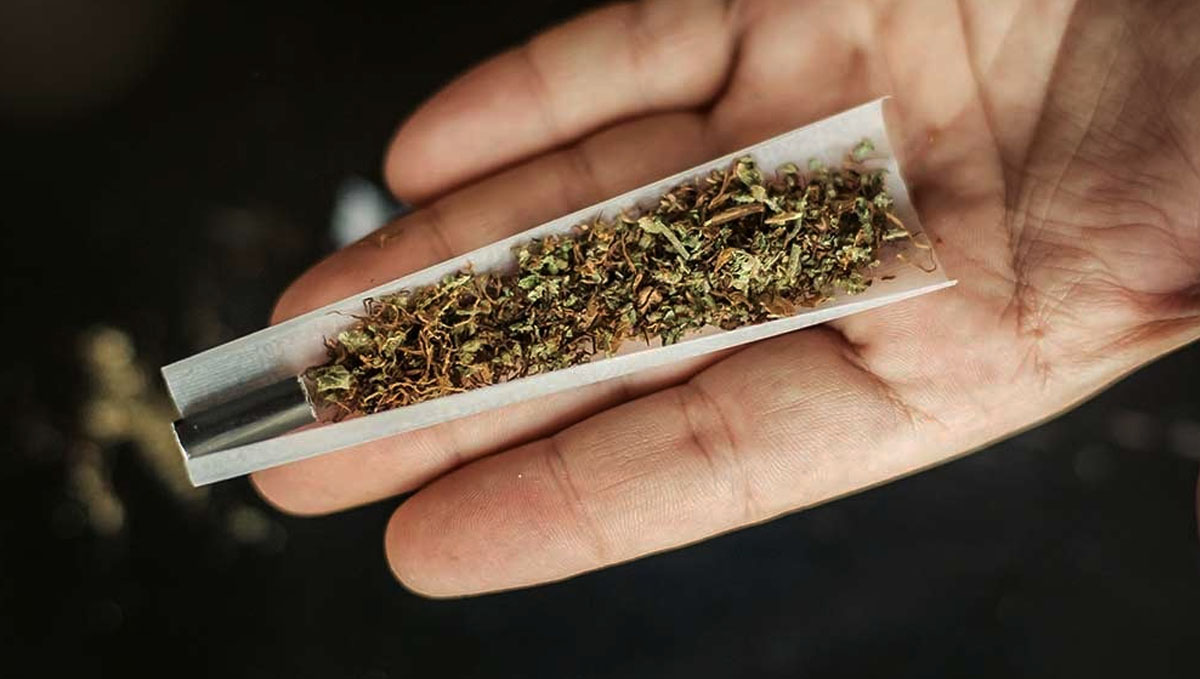 Spliff Definition &ndash; What Is a Spliff? An unrolled cigarette with marijuana and tobacco laid on a person's palm