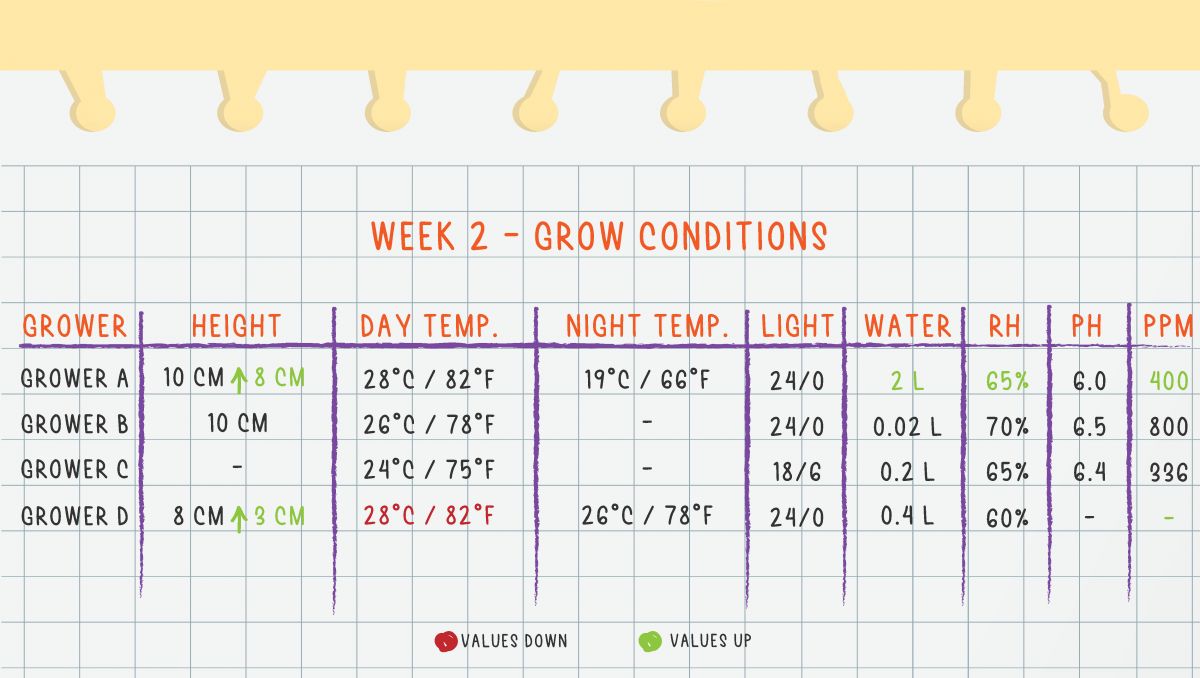 Orange Sherbet Auto Plants Seed Week-by-Week Guide: Week 2 grow conditions