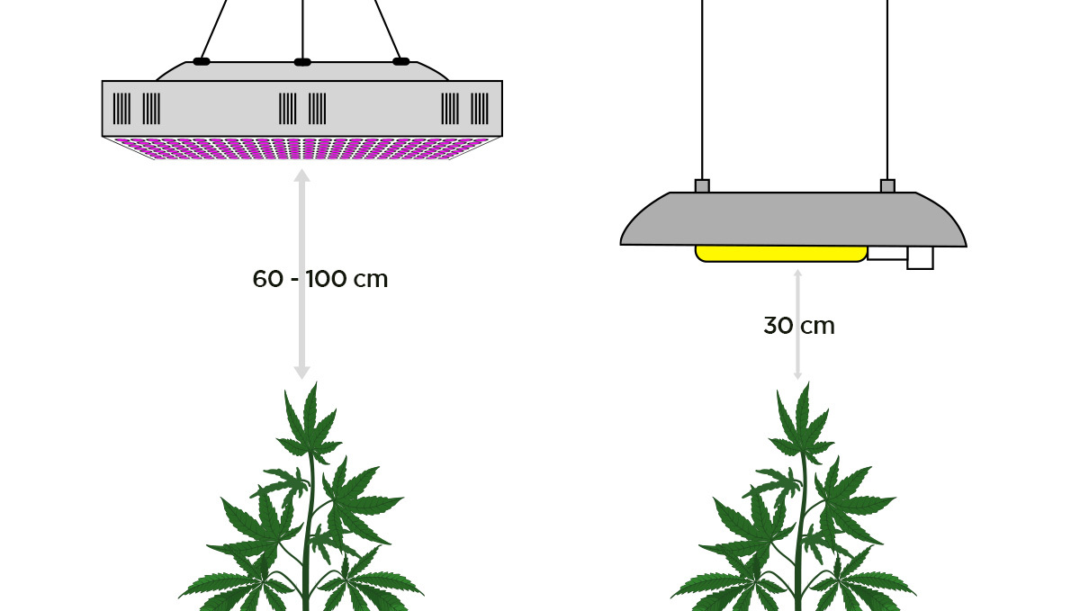 How to deal with slow plants growth: lights