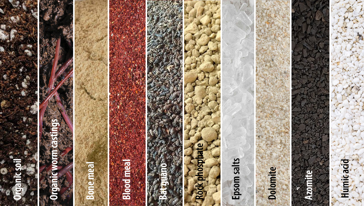 super soil for cannabis plants: supplies