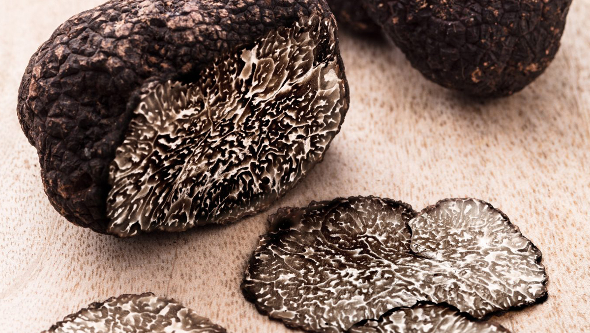 Non-plants strength: black truffles