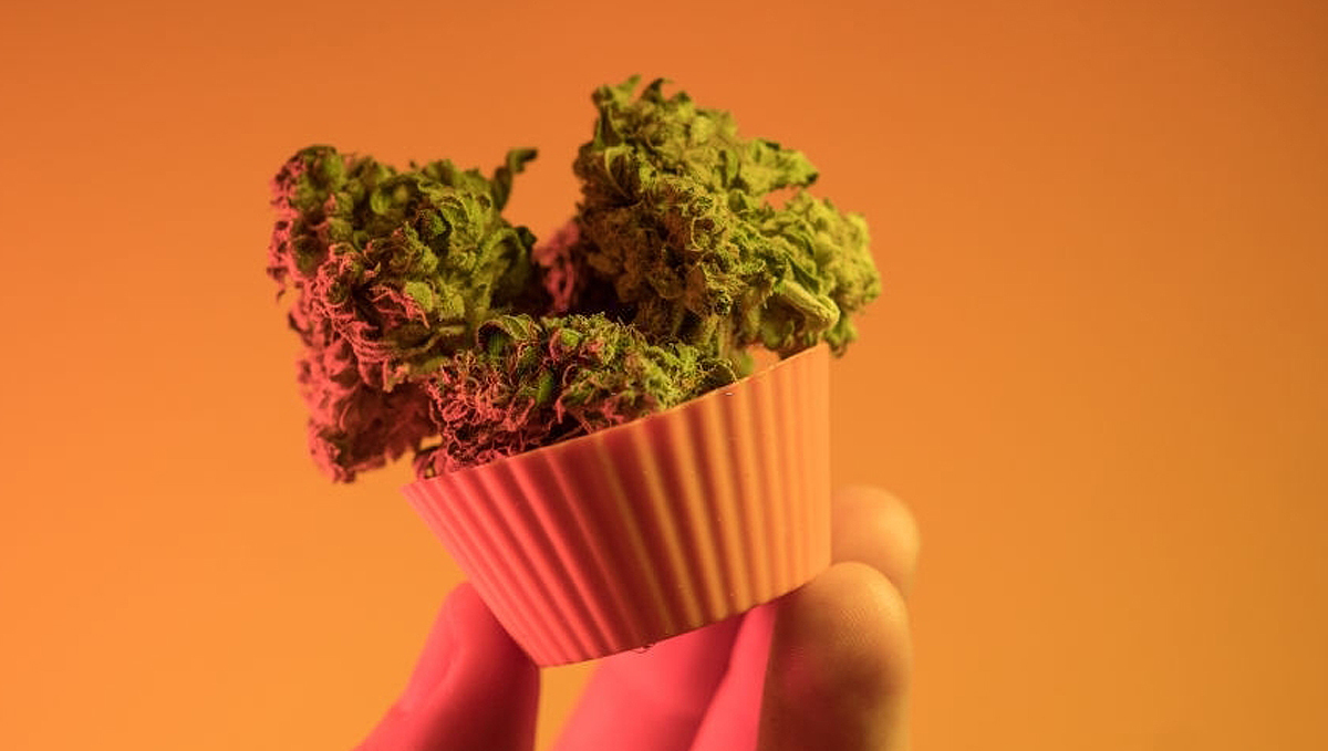 Kaip apskaičiuoti THC dozę kanapių valgomiesiems produktams