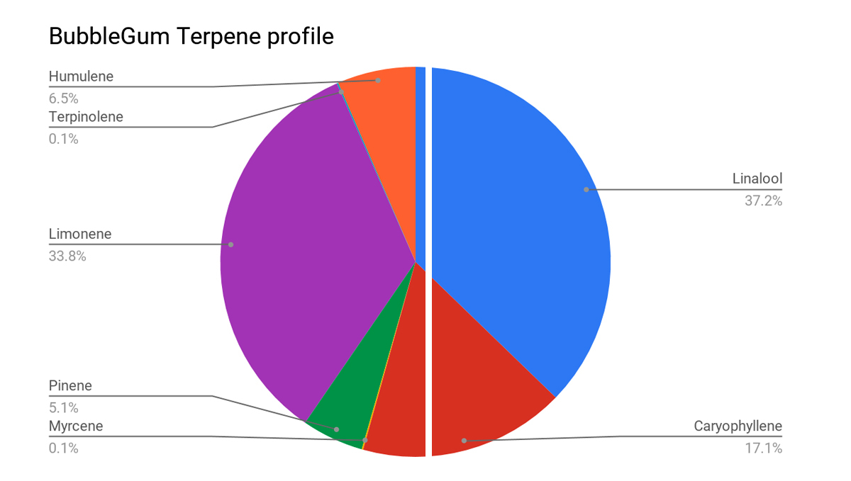 BubbleGum Auto: terpene profile BubbleGum Auto: terpene profile
