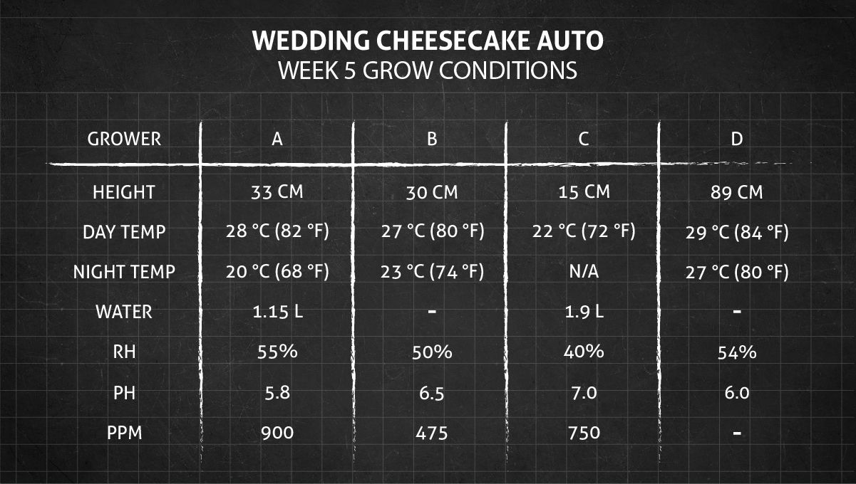 Grow Conditions Week 5