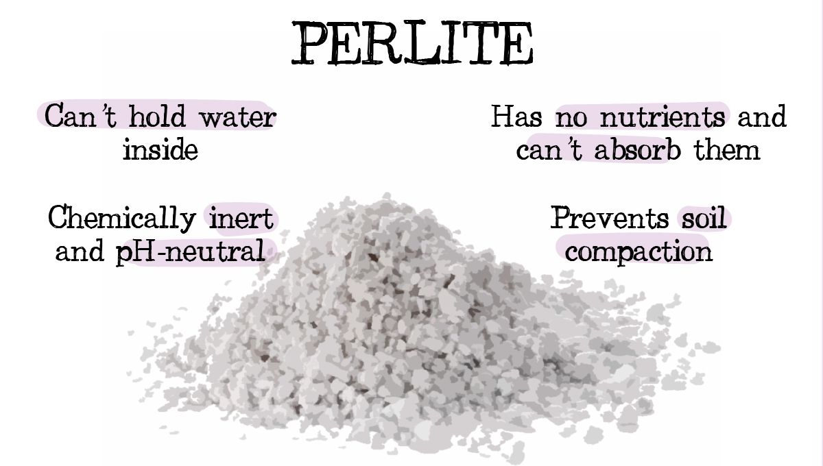 Drainage for Plants Plants: Why is it Important and How To Improve it - Perlite and its features as a soil conditioner