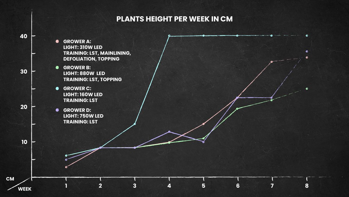 Gelato Auto Cannabis Strain Week-by-Week Guide: Height Chart