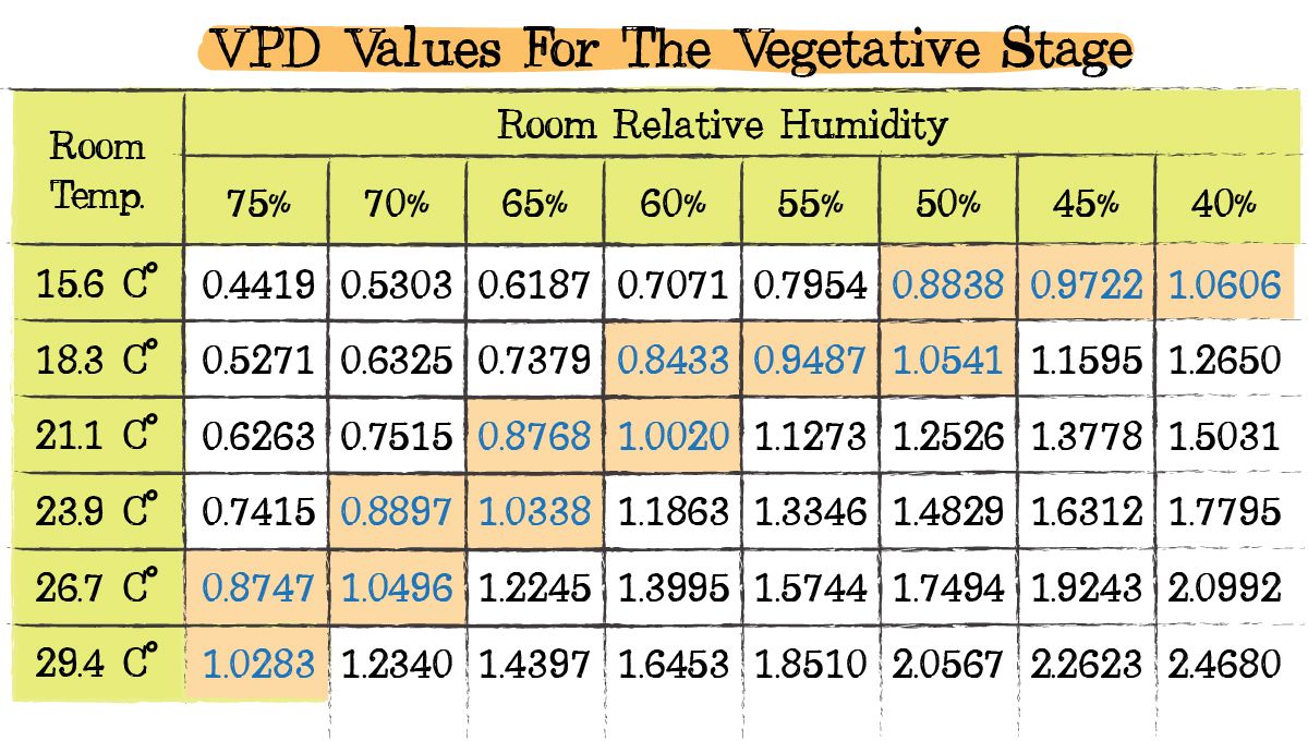 Cannabis transpiration: Ideal vpd during veg