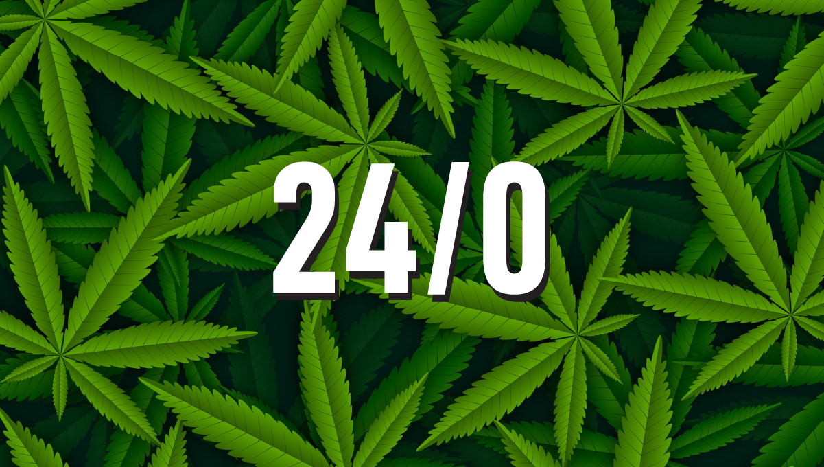 Bedste lysplan for autoflowers: 24/0 lyscyklus til cannabisplanter