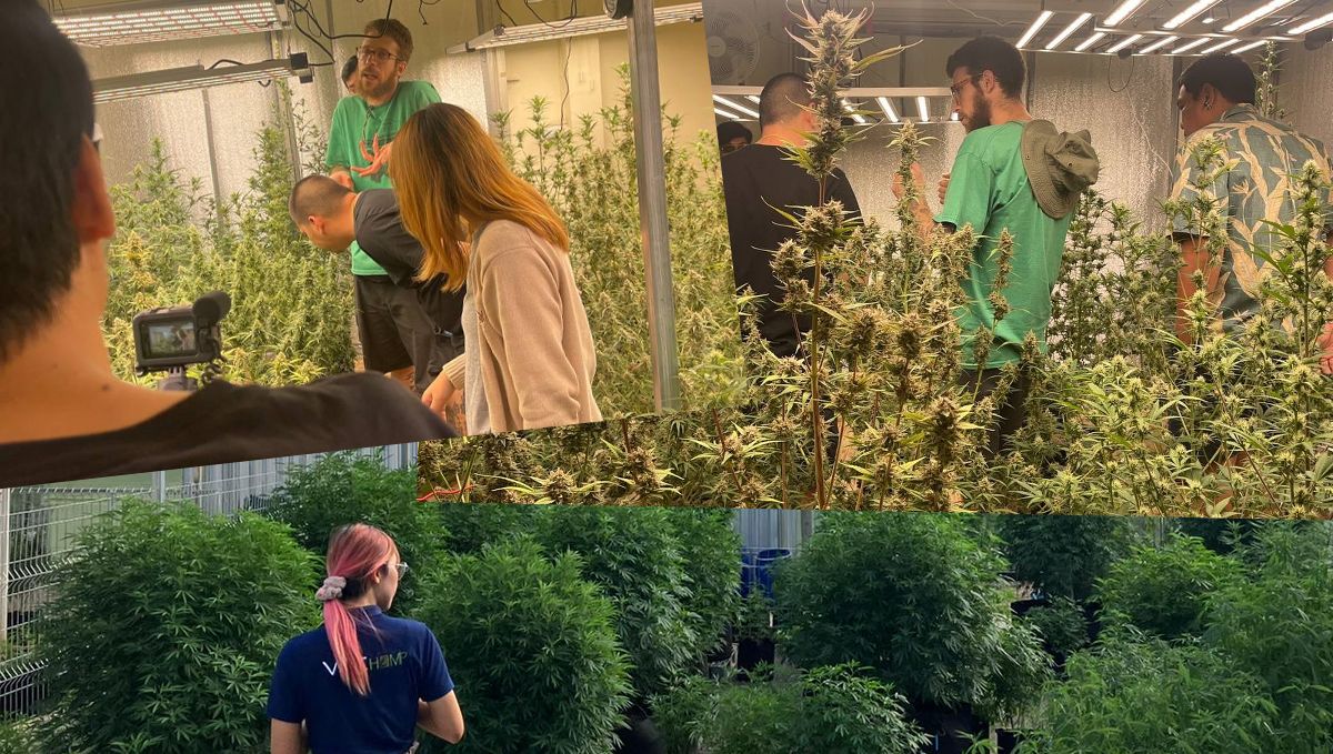 Fast Buds užkariauja Tailandą: