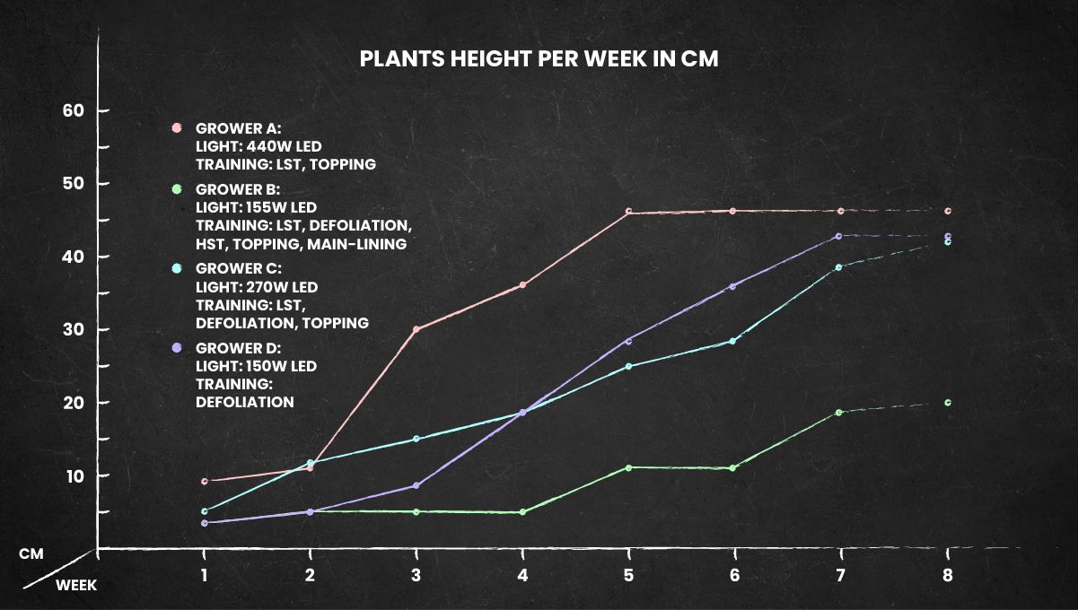 Purple Punch Auto Plants Seed Week-by-Week Guide: The plant height chart