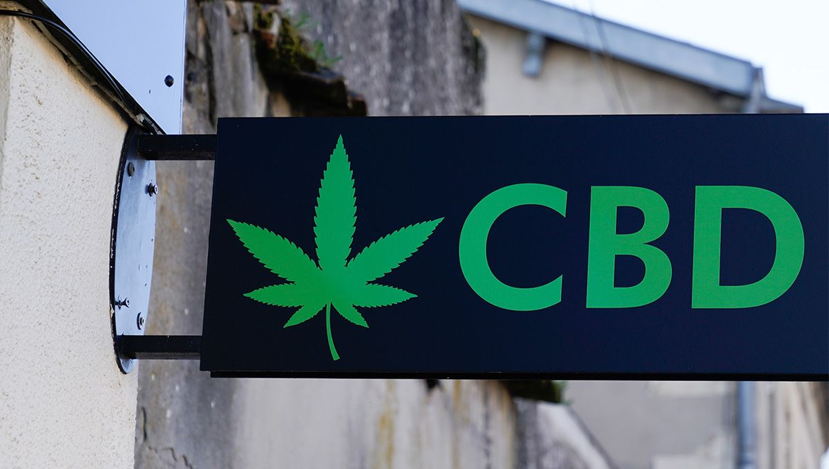 Kanep Argentinas: Kanepi seaduslik seisund - juhend: D. Cultivo grow shopi interjöör