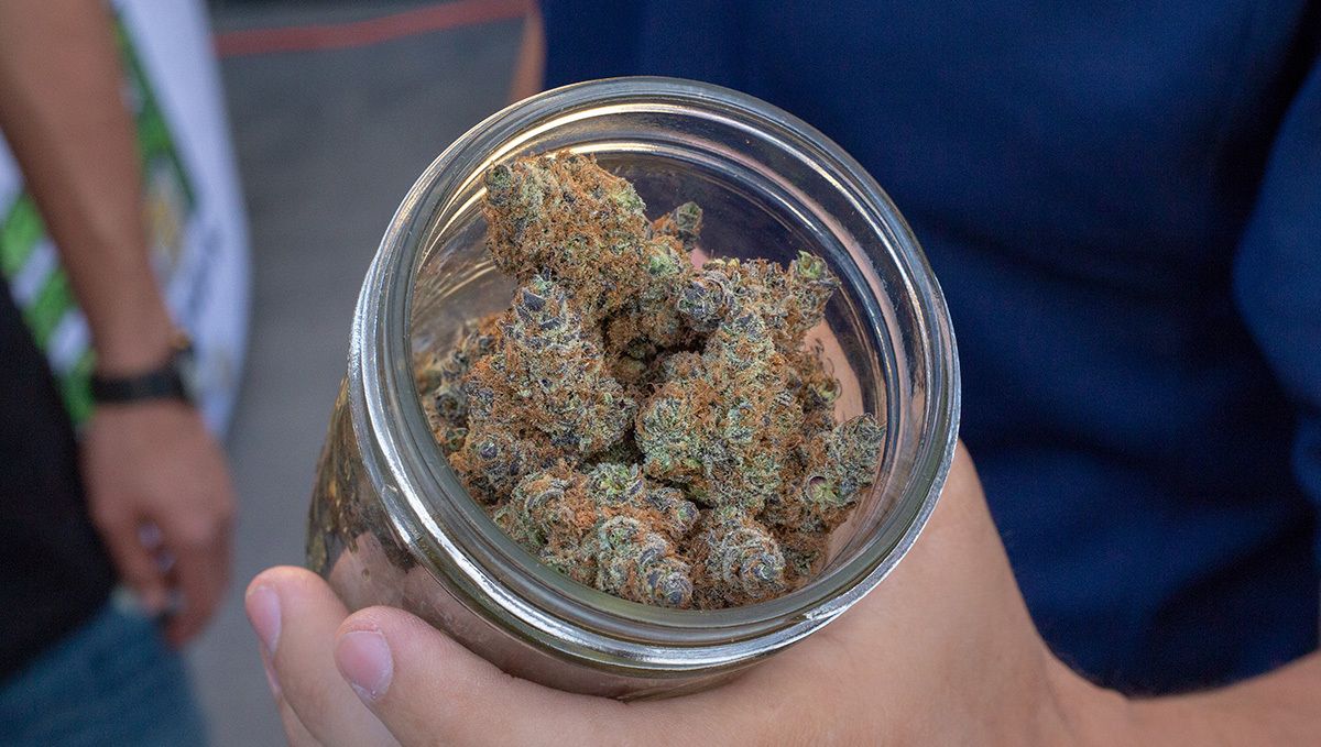 4 เหตุผลหลักที่คุณควรปลูกกัญชาเอง: มี Weed ไม่ขาดมือ