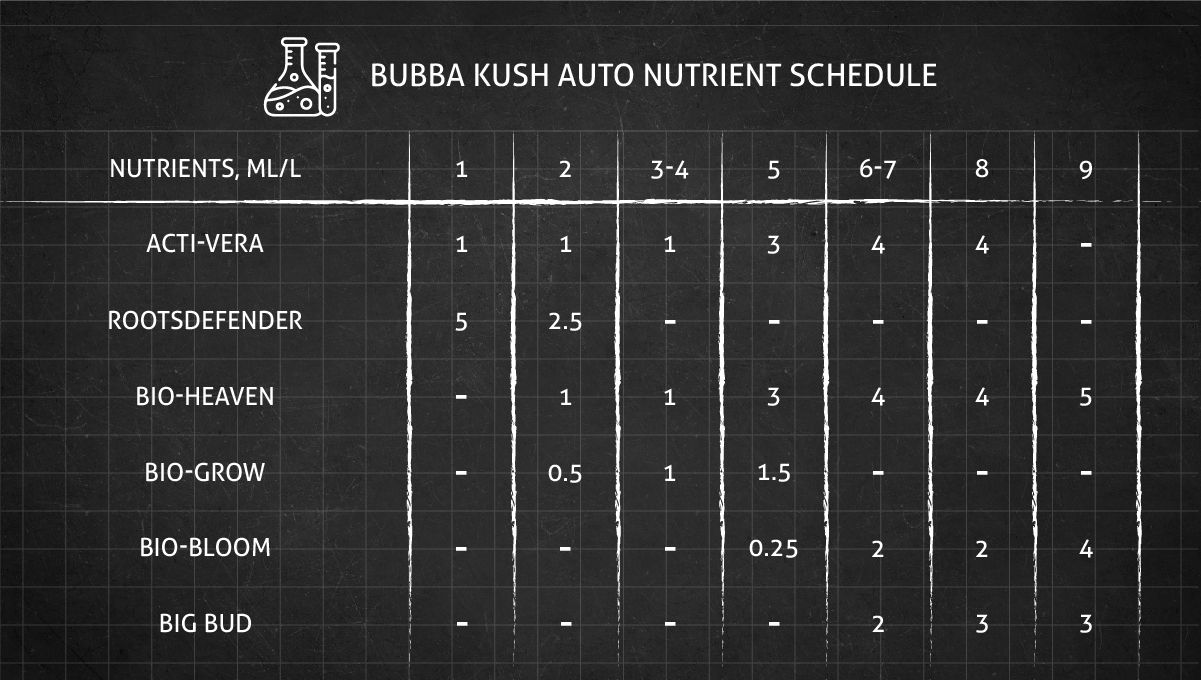 Bubba Kush Auto cannabis strain: feeding chart for the vegetative and flowering stages
