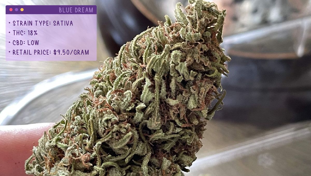 22 Beste Weed Sorten zum Probieren 2022: Blue Dream