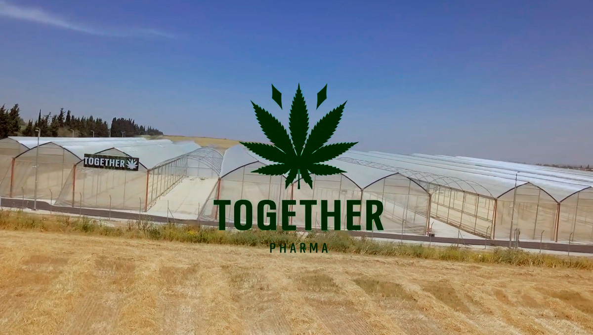 The First Batch of Uganda&rsquo;s Medical Plants is Coming to the UK: A large complex of greenhouses in a field with the Together Pharma logo in the foreground