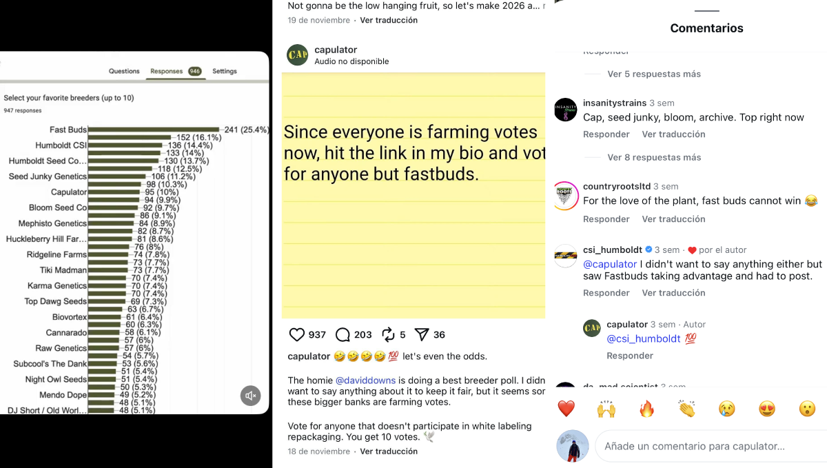 Screencaps of a heated online discussion about cannabis industry competition.