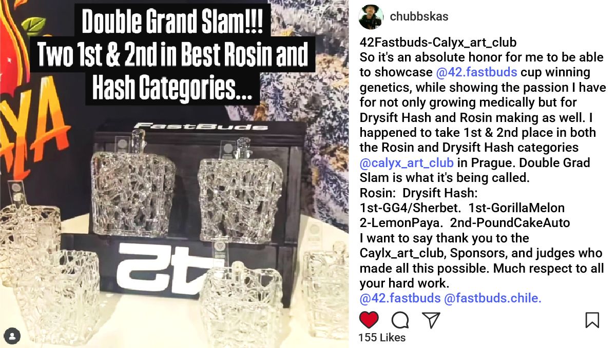 Chubbs, our star grower, celebrating his four trophy wins at the Prague cannabis competition.