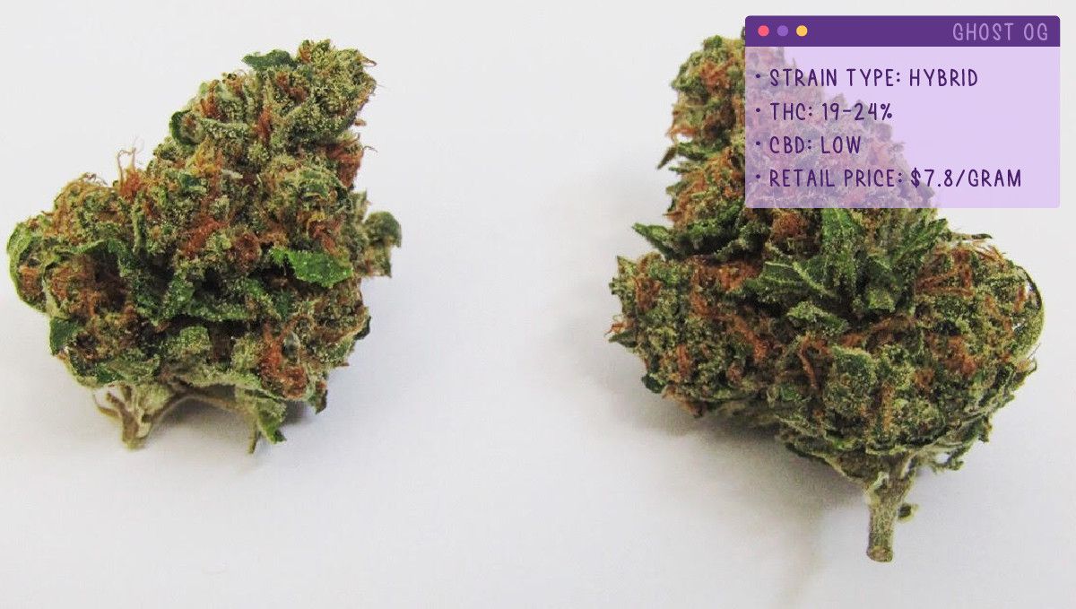 22 Beste Weed Sorten zum Probieren 2022: Ghost OG