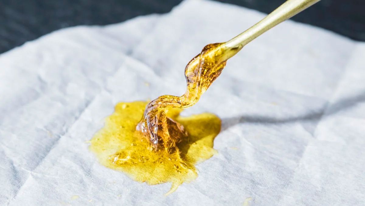 How to Make Rosin Dabs at Home?: Close Look at Cannabis Rosin