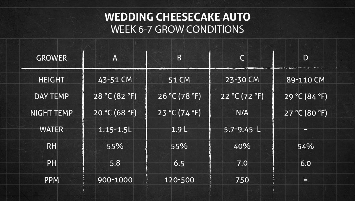 Grow Conditions Weeks 6-7