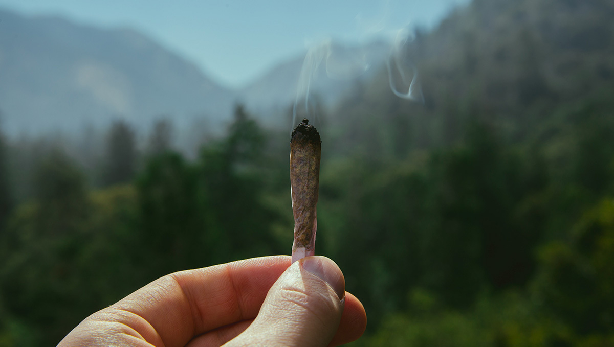 The Isle of Man Issues the First Medical Plants License: A closeup of a plants cigarette burning, with a mountainous landscape seen unfocused in the background