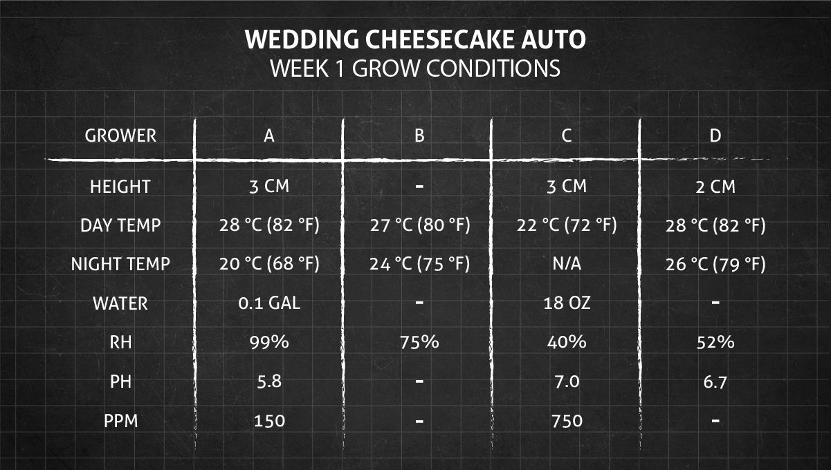 Grow Conditions Week 1 