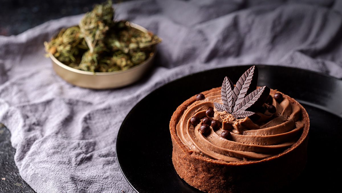 Plants cake recipe ideas: what know before eating plants cake