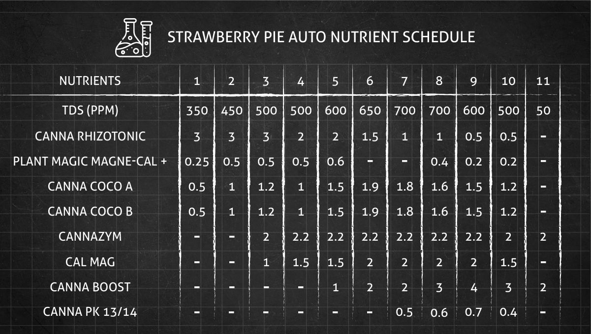 Strawberry Pie Auto Plants Seed Week-by-Week Guide: An auto feeding chart, weeks 1-11