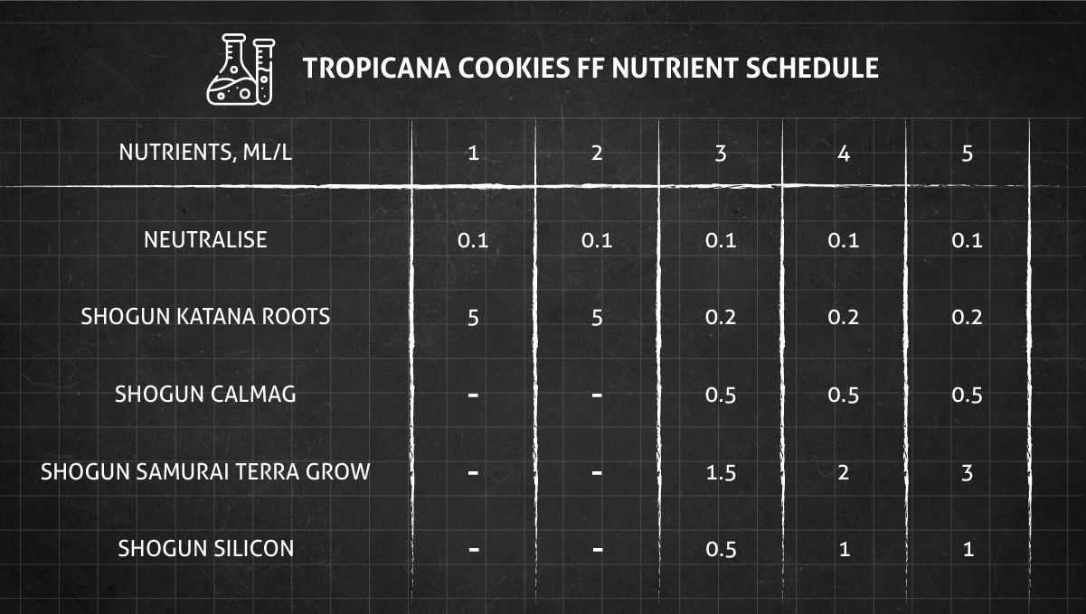 Tropicana Cookies FF cannabis strain: veg nutrient schedule