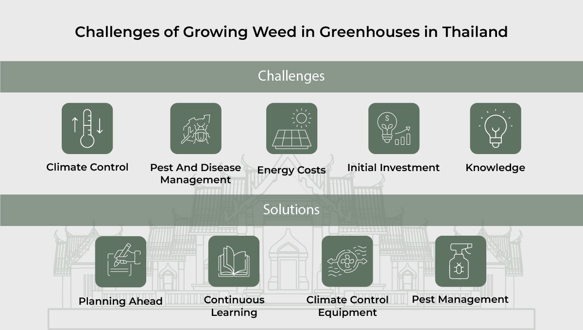 Challenges of growing plants in Greenhouses in Thailand
