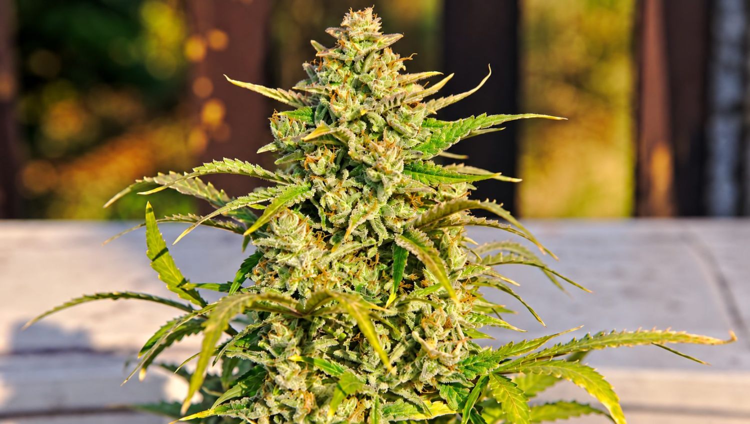 9 time-saving tips: grow and learn
