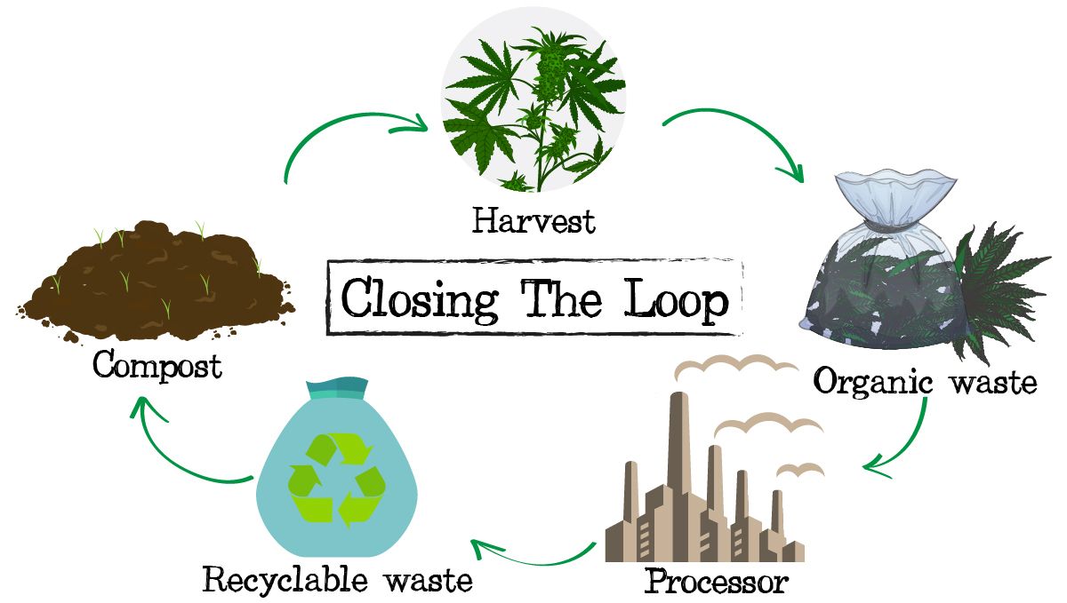 Waste management in plants: organic waste