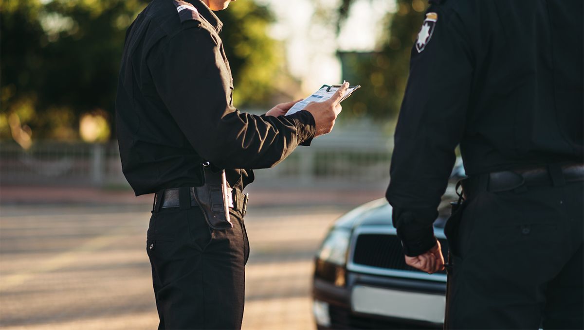 South Carolina: Plants Legal Status Guide: The road police who have stopped a vehicle