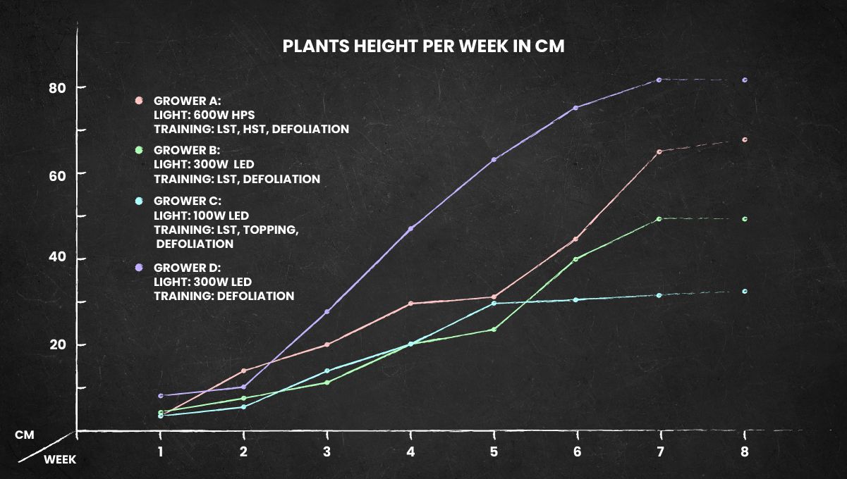 Strawberry Pie Auto Plants Seed Week-by-Week Guide: Week 11 grow conditions