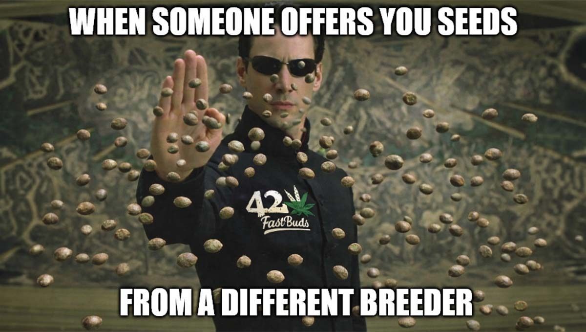neo