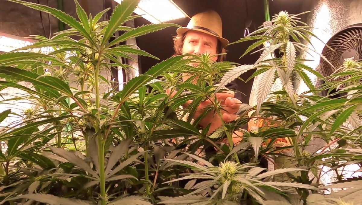 Grow Tour | Fast Buds visits Patricks Grow in Hamburg