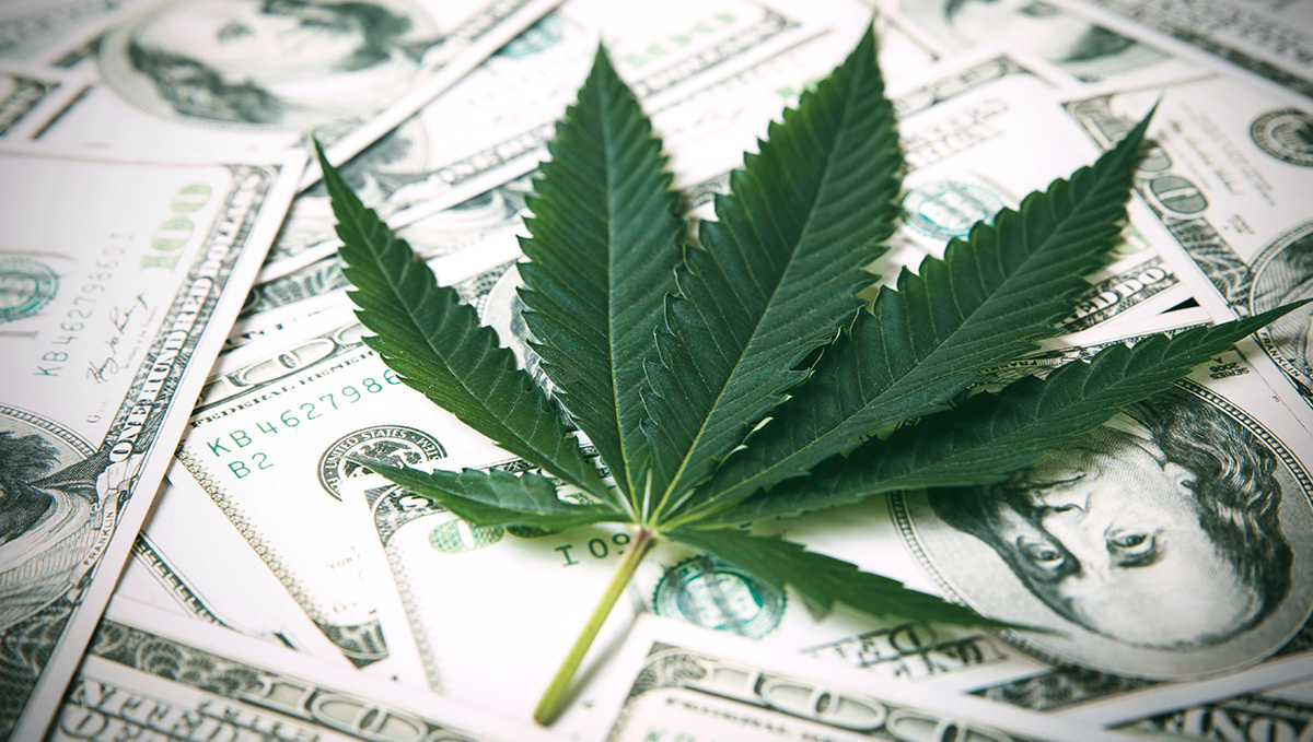Fine Print Reveals Apple Has Long Thrown Its Weight Behind Plants Normalization: A plants leaf lying on top of one-hundred-dollar bills