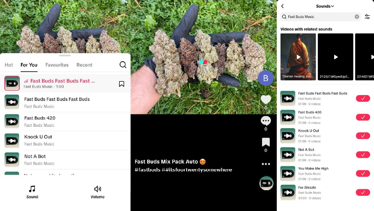 Fast Buds 뮤직 트랙을 인스타그램 스토리와 게시물에 사용해서 재배 소식을 전할 수 있습니다.