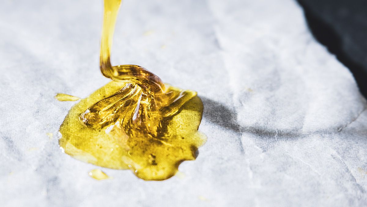 Can Plants Buds Be Used to Make Extracts: what are extracts Can Plants Buds Be Used to Make Extracts: what are extracts