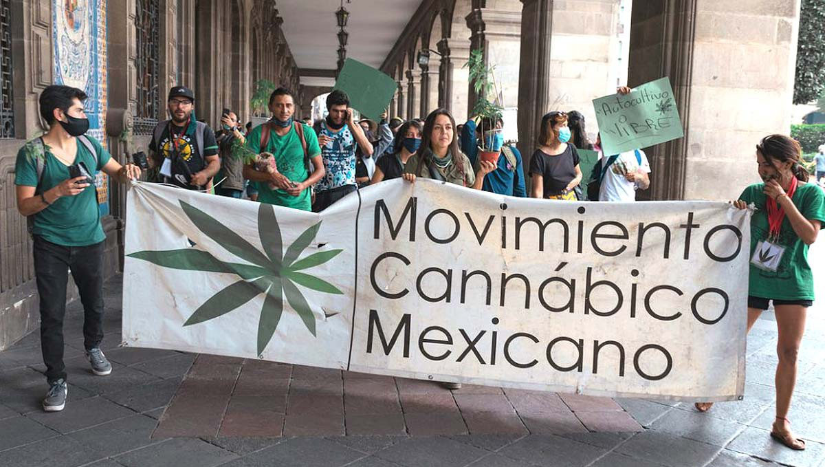 Mexico: Plants May be Legalized This Legislative Session: Activists marching with little plants plants and a banner