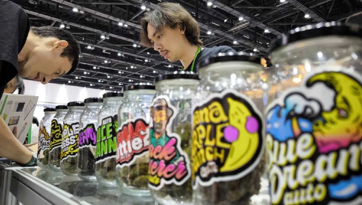Asia International Hemp Expo: A One-of-a-Kind Experience