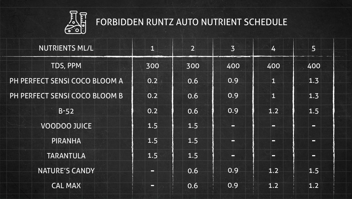 Forbidden Runtz Auto Cannabis Strain Week-by-Week Guide: The feeding schedule for the whole of the vegetative phase