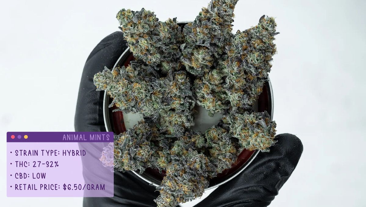 22 Beste Weed Sorten zum Probieren 2022: Animal Mints