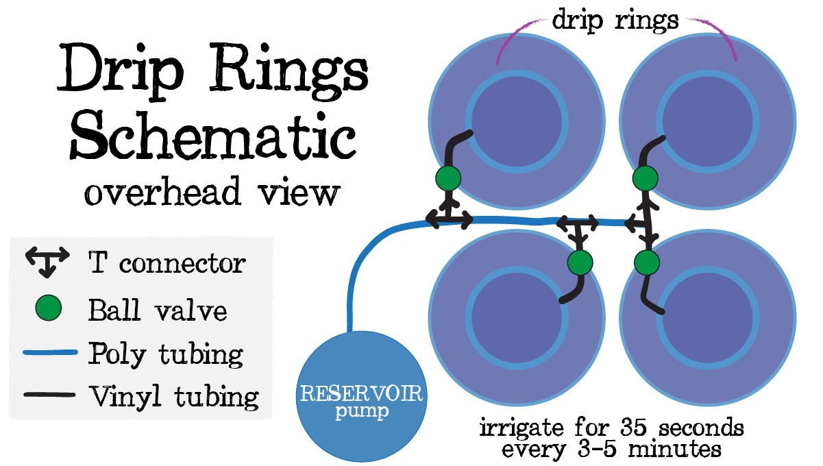 Automatic Drip Irrigation Setup for Indoor Cannabis Grow: Drip rings infographic