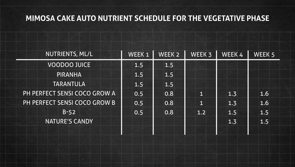 Mimosa Cake Auto cannabis strain: veg nutrient schedule