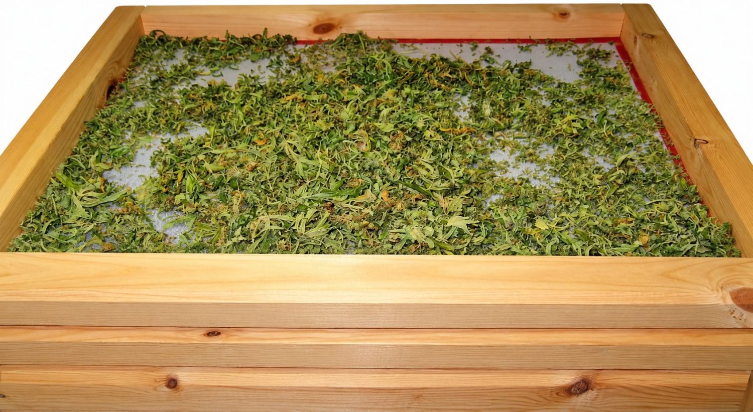 What to do with cannabis trimmings: materials needed for dry sift